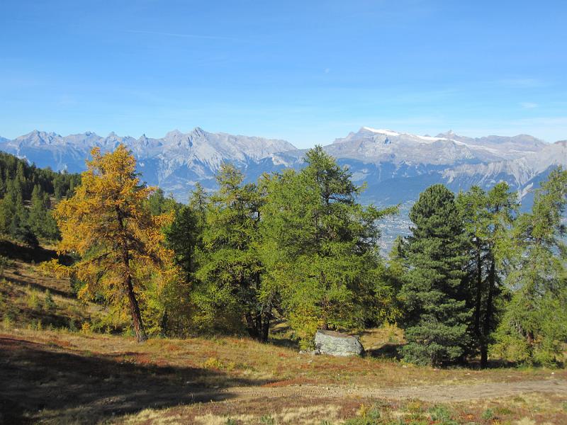 20121005_114700_L_Ar_du_Tsan 002.JPG
